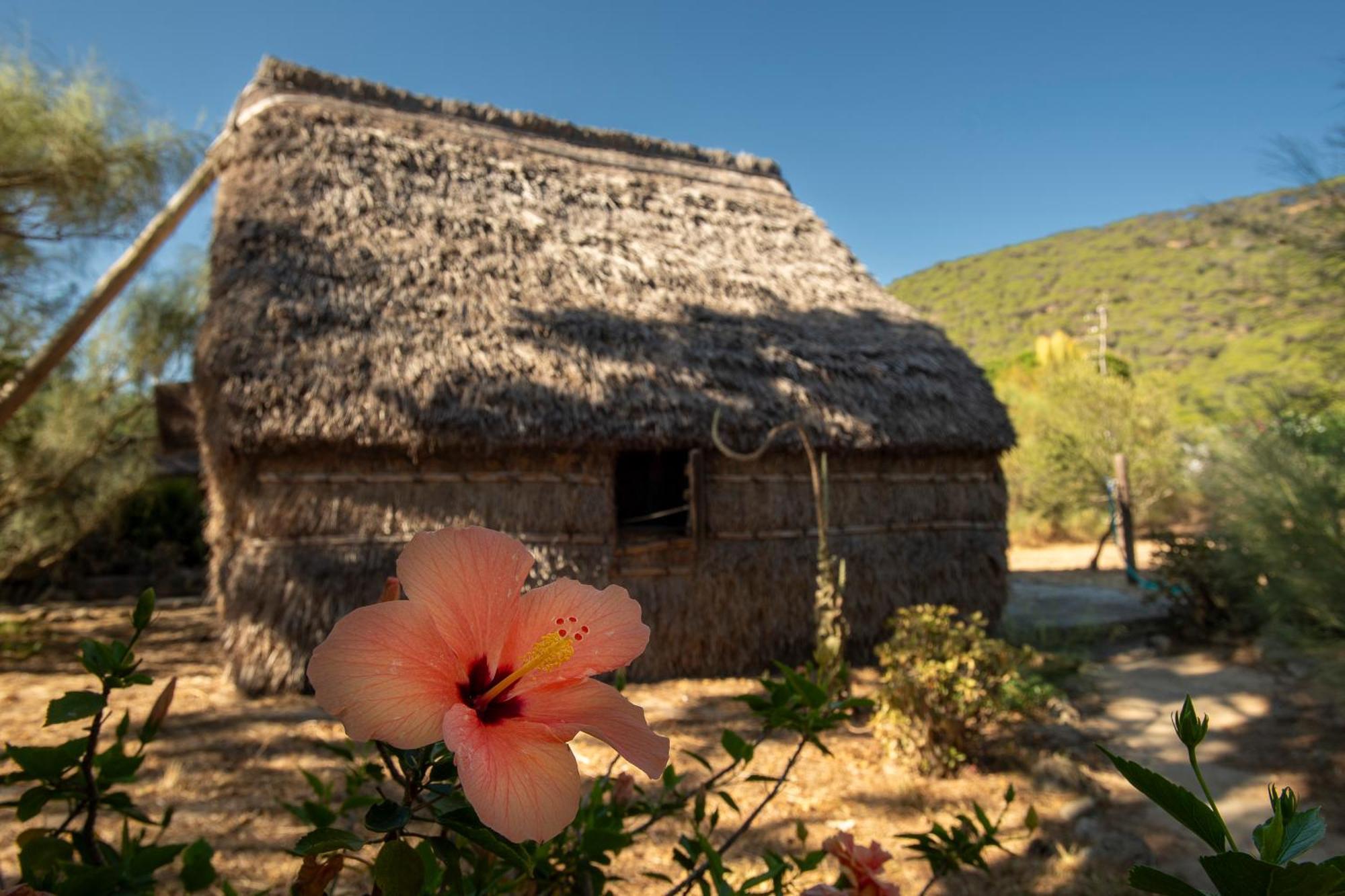 Casas Karen Daire Los Canos De Meca Dış mekan fotoğraf